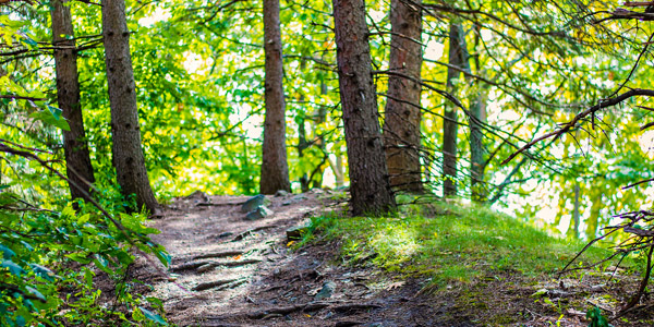 Wandern im Alto Garda Bresciano Park 