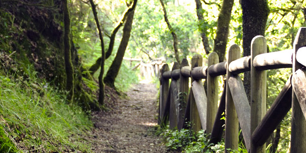 Natur Pur - Von Pieve di Tremosine bis zum Campione sul Garda